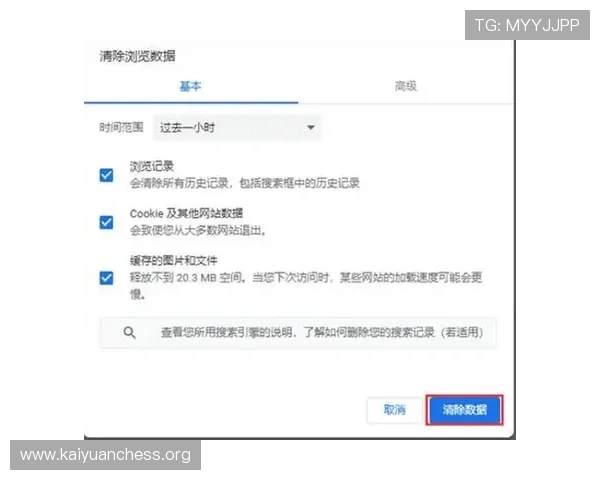 凯发网娱乐会员登录过程中遇到验证码无法识别的解决技巧与建议
